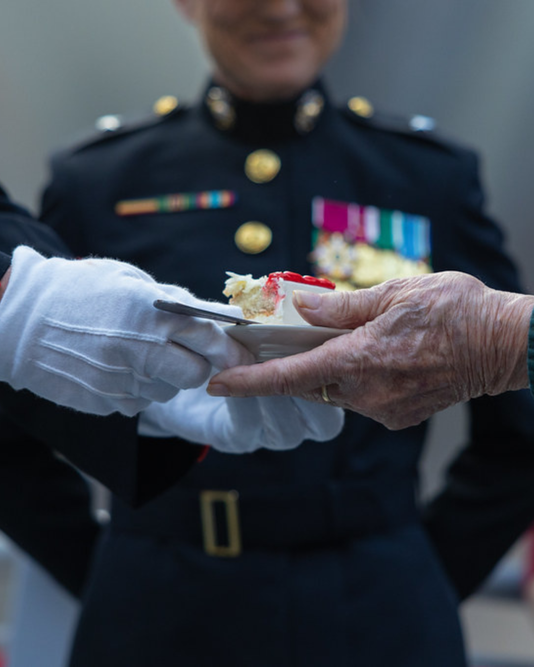 Cake Cutting Marine250 NMMC