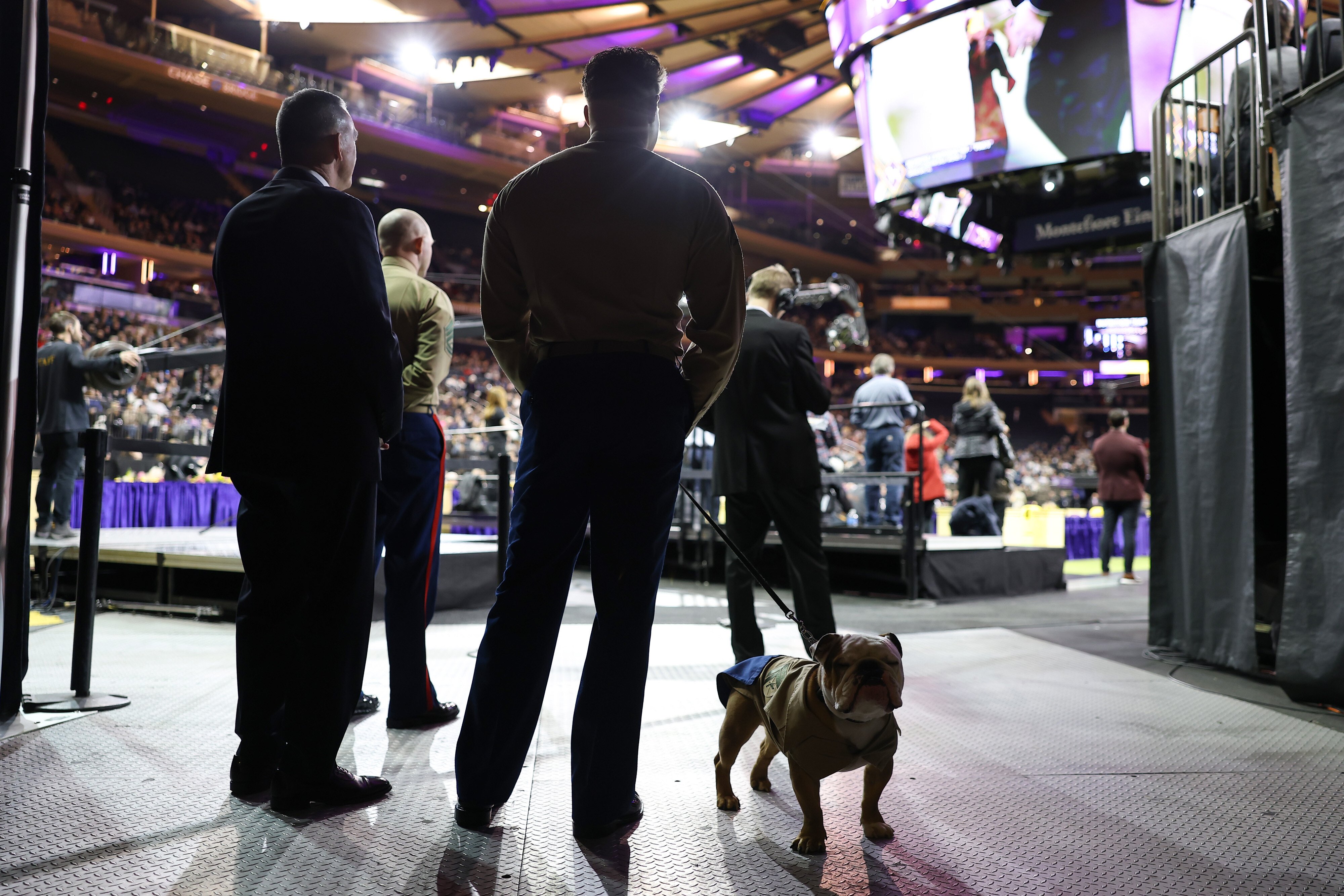 Marine 250 Takes to the Ring at Westminster Kennel Club Dog Show
